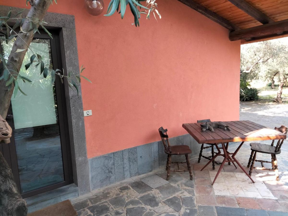 Holiday home Cuntarati Nature Tourism - Simeto Etna *
