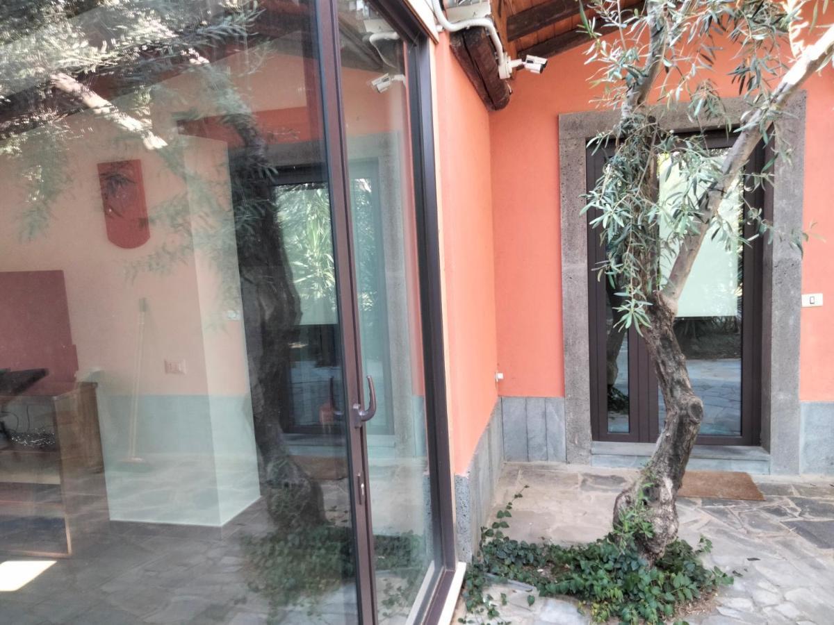Holiday home Cuntarati Nature Tourism - Simeto Etna *