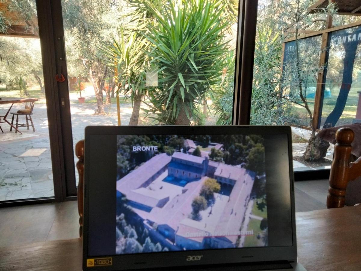 Cuntarati Nature Tourism - Simeto Etna Holiday home Bronte