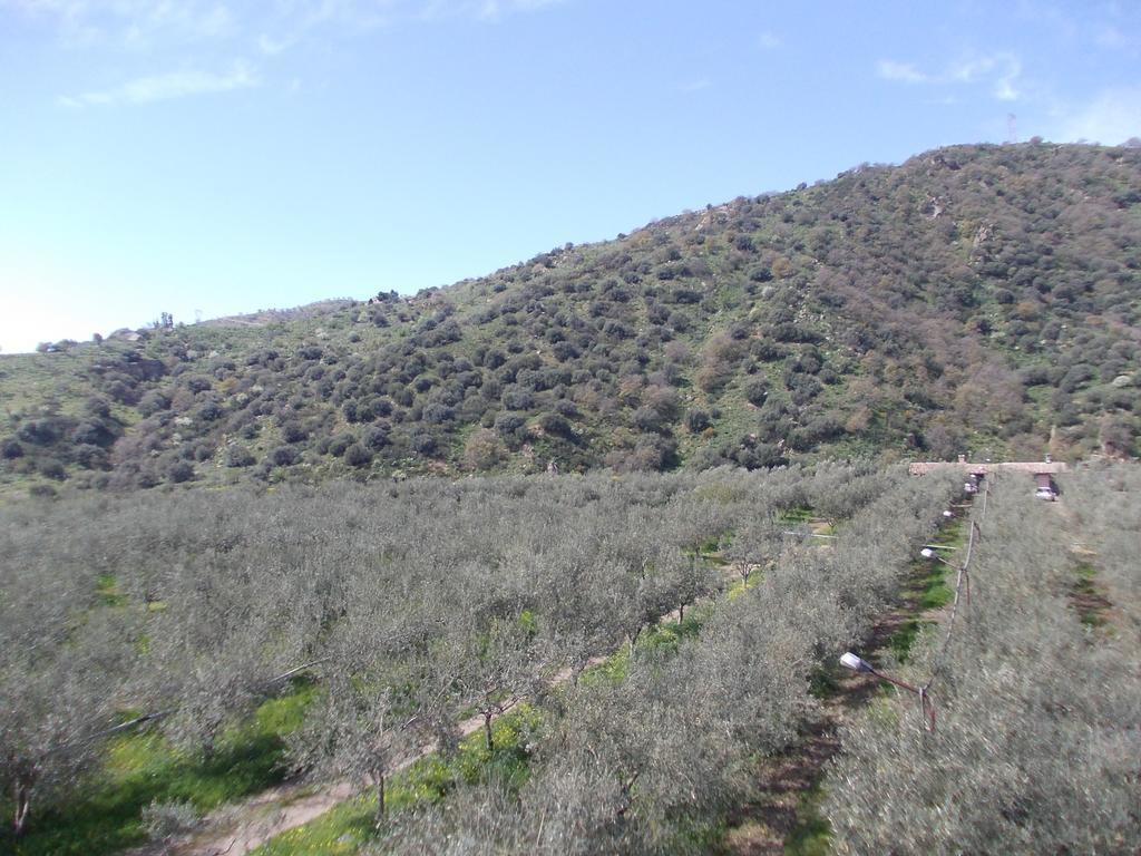 Cuntarati Nature Tourism - Simeto Etna