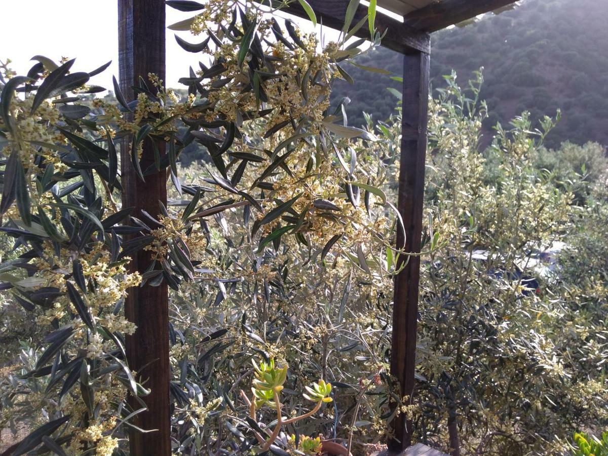 Cuntarati Nature Tourism - Simeto Etna Holiday home Bronte
