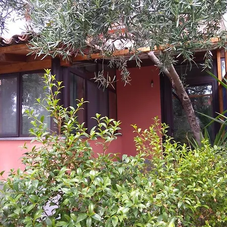 Cuntarati Nature Tourism - Simeto Etna Bronte Exterior photo