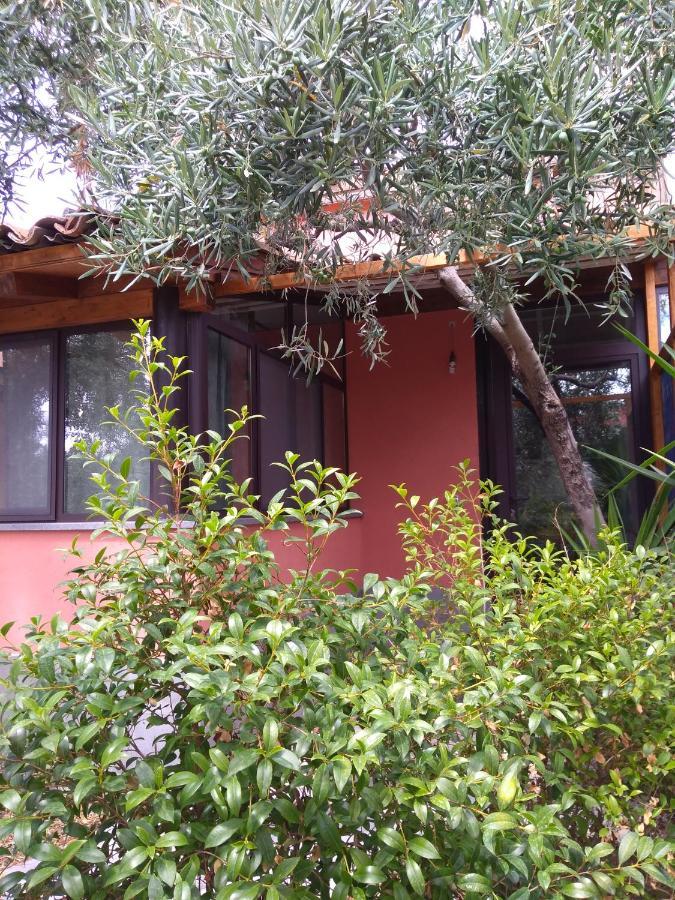 Holiday home Cuntarati Nature Tourism - Simeto Etna Bronte