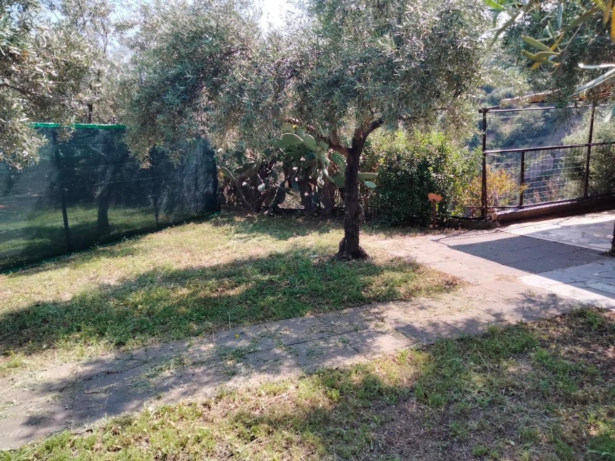 Cuntarati Nature Tourism - Simeto Etna *