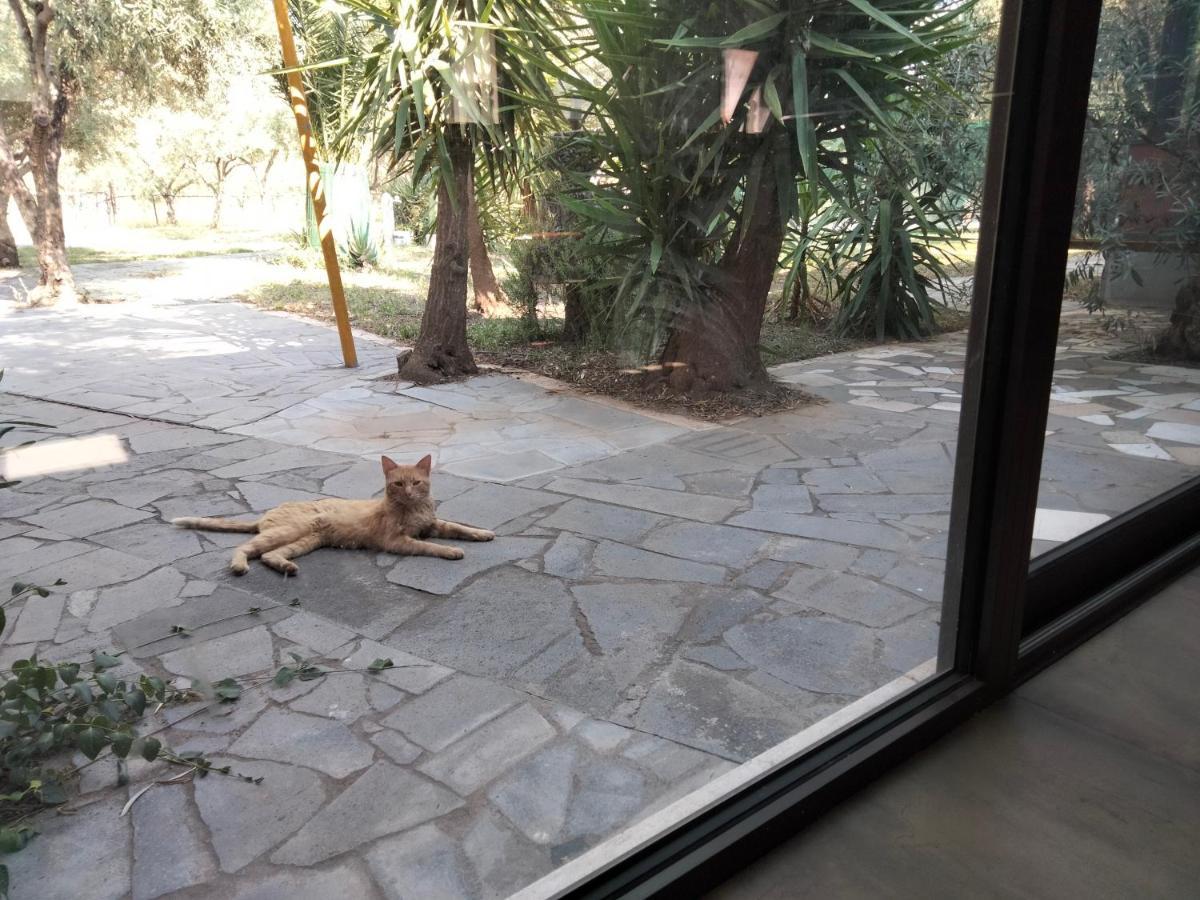 Cuntarati Nature Tourism - Simeto Etna * Bronte