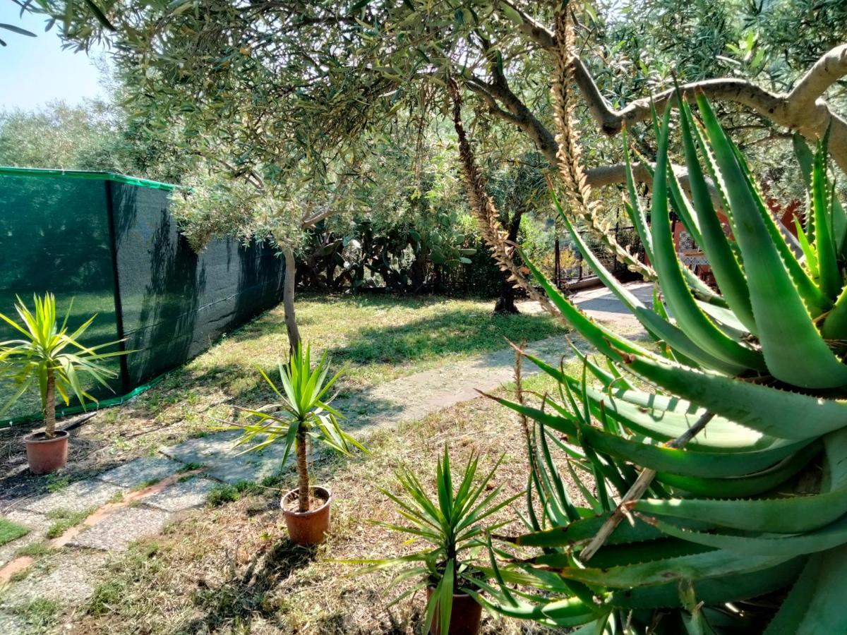 Cuntarati Nature Tourism - Simeto Etna Bronte