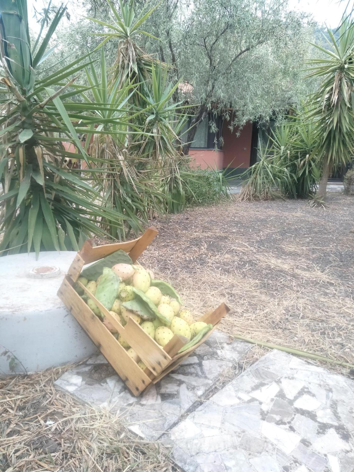 Cuntarati Nature Tourism - Simeto Etna *
