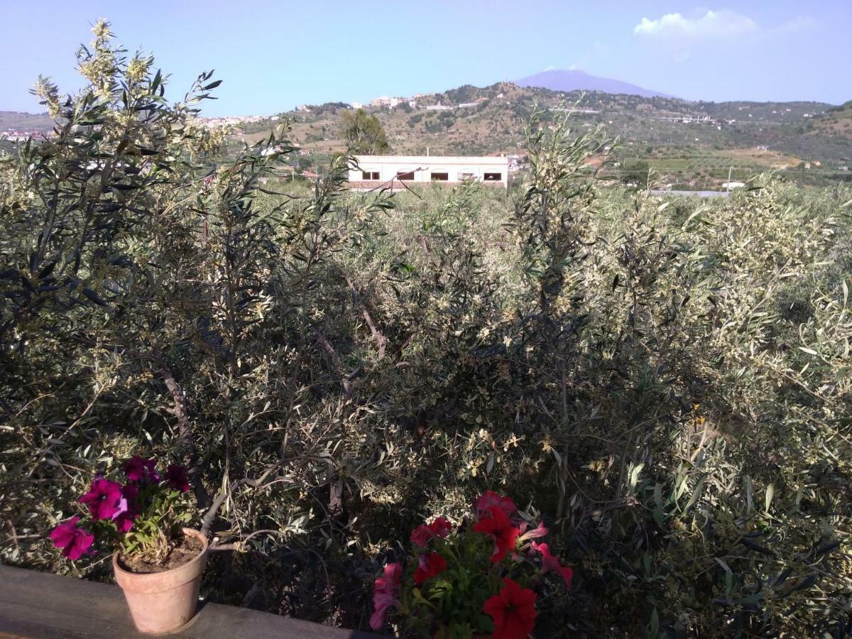 Cuntarati Nature Tourism - Simeto Etna Bronte
