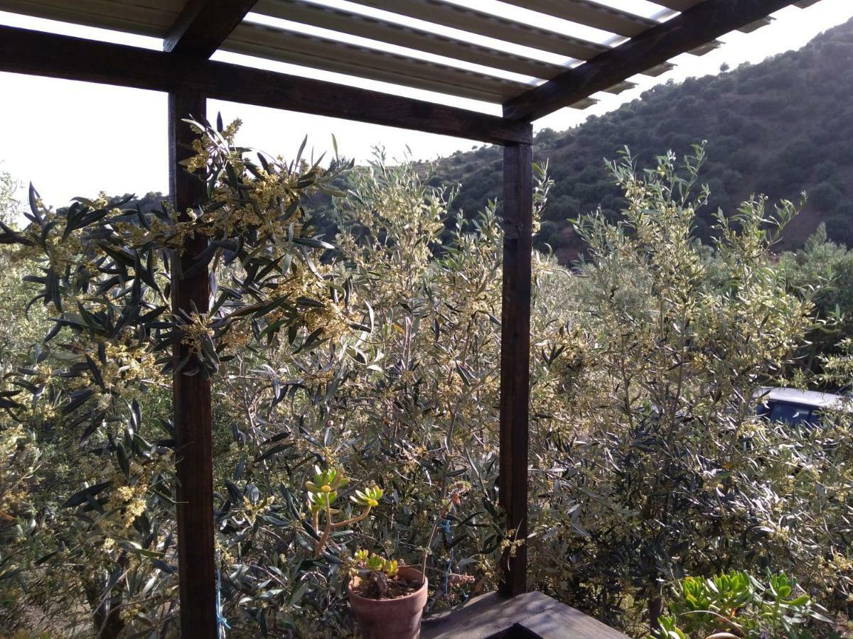 Cuntarati Nature Tourism - Simeto Etna *